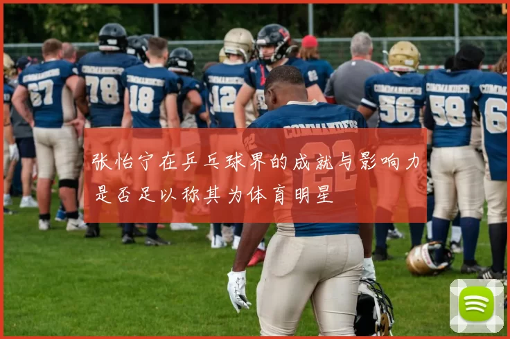 张怡宁在乒乓球界的成就与影响力是否足以称其为体育明星