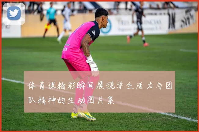 体育课精彩瞬间展现学生活力与团队精神的生动图片集