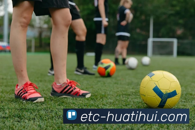 华体会平台生态图